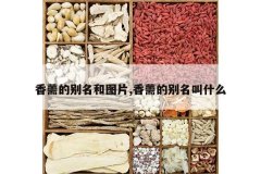 <b>��޸�ı�����ͼƬ,��޸�ı�����ʲô</b>