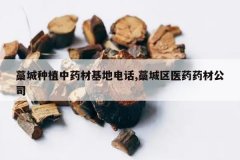 <b>޻����ֲ��ҩ�Ļ��ص绰,޻����ҽҩҩ�Ĺ�˾</b>