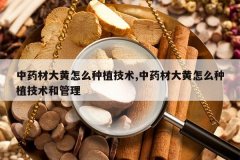 <b>��ҩ�Ĵ����ô��ֲ����,��ҩ�Ĵ����ô��ֲ�����͹���</b>