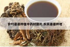 <b>ũ��������ֲ��ҩ��ͼƬ,ũ�������ֵ�</b>