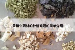 <b>�ƾ���ҩ�ĵ���ֲ����ļ򵥽���</b>