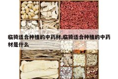 <b>����ʺ���ֲ����ҩ��,����ʺ���ֲ����ҩ����ʲô</b>