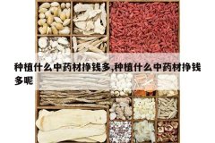 <b>��ֲʲô��ҩ����Ǯ��,��ֲʲô��ҩ����Ǯ����</b>