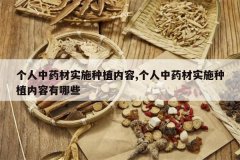 <b>������ҩ��ʵʩ��ֲ����,������ҩ��ʵʩ��ֲ��������Щ</b>