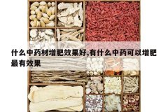 <b>ʲô��ҩ������Ч����,��ʲô��ҩ������������Ч��</b>