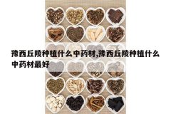 <b>ԥ��������ֲʲô��ҩ��,ԥ��������ֲʲô��ҩ�����</b>