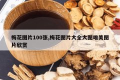 <b>÷��ͼƬ100��,÷��ͼƬ��ȫ��ͼΨ��ͼƬ����</b>