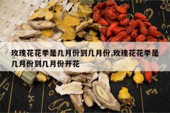 <b>õ�廨�����Ǽ��·ݵ����·�,õ�廨�����Ǽ��·ݵ����·ݿ���</b>