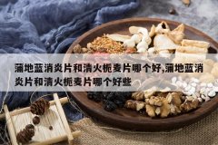 <b>�ѵ�������Ƭ���������Ƭ�ĸ���,�ѵ�������Ƭ���������Ƭ�ĸ�</b>