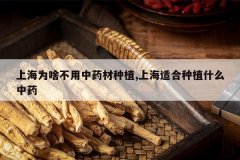 <b>�Ϻ�Ϊɶ������ҩ����ֲ,�Ϻ��ʺ���ֲʲô��ҩ</b>