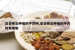 <b>�ʺ���̨��ֲ����ҩ��,�ʺ���̨��ֲ����ҩ������Щ</b>