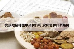 <b>���������ֲ��ҩ������,��������ʲô����</b>