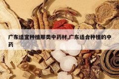 <b>�㶫������ֲ������ҩ��,�㶫�ʺ���ֲ����ҩ</b>