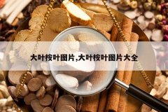 <b>ҶҶͼƬ,ҶҶͼƬȫ</b>