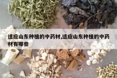 <b>��Ӧɽ����ֲ����ҩ��,��Ӧɽ����ֲ����ҩ������Щ</b>