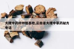 <b>������ҩ����ֲ����,����ʡ�����в�ҩ�ط��绰</b>