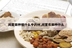 <b>��������ֲʲô��ҩ��,����ũ����ʲô</b>