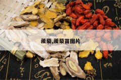 <b>��޼,��޼��ͼƬ</b>