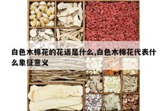 <b>��ɫľ�޻��Ļ�����ʲô,��ɫľ�޻�����ʲô��������</b>