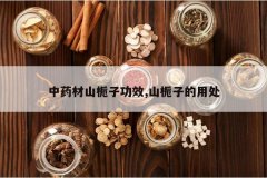 <b>��ҩ��ɽ���ӹ�Ч,ɽ���ӵ��ô�</b>