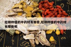 <b>������ֲ����ҩ������Щ,������ֲ����ҩ������Щ��</b>