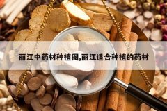 <b>������ҩ����ֲͼ,�����ʺ���ֲ��ҩ��</b>