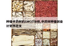 <b>��ֲ��ҩ�ĵ�SWOT����,��ҩ����ֲ��ҵ�ƻ��鷶��</b>