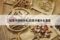 <b>�컨�ӻ���ʲô,�컨����ʲô��˼</b>