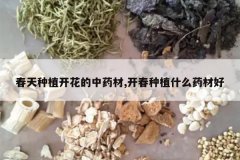 <b>������ֲ��������ҩ��,������ֲʲôҩ�ĺ�</b>