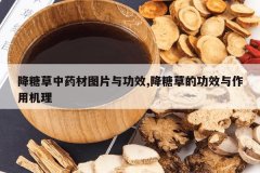 <b>���ǲ���ҩ��ͼƬ�빦Ч,���ǲݵĹ�Ч�����û���</b>