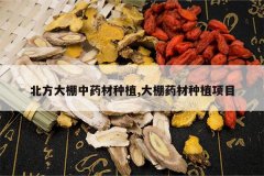 <b>����������ҩ����ֲ,����ҩ����ֲ��Ŀ</b>