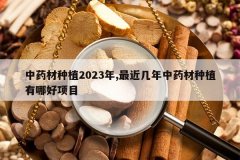 <b>��ҩ����ֲ2023��,���������ҩ����ֲ���ĺ���Ŀ</b>