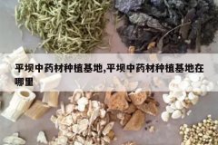 <b>ƽ����ҩ����ֲ����,ƽ����ҩ����ֲ����������</b>