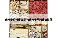 <b>������ҩ����ֲ,���������в�ҩ��ֲ�Ƽ�</b>