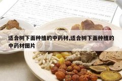 <b>�ʺ���������ֲ����ҩ��,�ʺ���������ֲ����ҩ��ͼƬ</b>