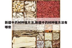 <b>�½���ҩ����ֲ����,�½���ҩ����ֲ��������Щ</b>