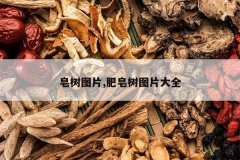 <b>����ͼƬ,������ͼƬ��ȫ</b>