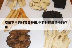 <b>��������ҩ��äĿ��ֲ,��ҩ���������е�����</b>