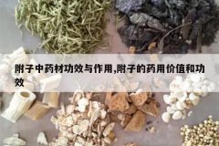 <b>������ҩ�Ĺ�Ч������,���ӵ�ҩ�ü�ֵ�͹�Ч</b>