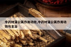 <b>��ҩ���ѹ�Ӣ���ù�Ч,��ҩ���ѹ�Ӣ���ù�Ч������</b>