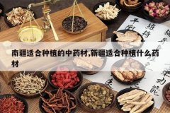 <b>�Ͻ��ʺ���ֲ����ҩ��,�½��ʺ���ֲʲôҩ��</b>