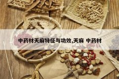 <b>��ҩ�����������빦Ч,���� ��ҩ��</b>