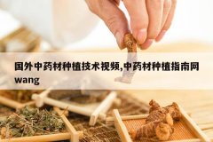 <b>������ҩ����ֲ������Ƶ,��ҩ����ֲָ����wang</b>