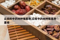 <b>���ϵ���ҩ����ֲ����,������ҩ����ֲ������¥</b>