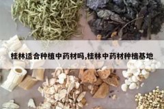 <b>�����ʺ���ֲ��ҩ����,������ҩ����ֲ����</b>