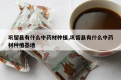 <b>��������ʲô��ҩ����ֲ,��������ʲô��ҩ����ֲ����</b>