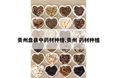 <b>����������ҩ����ֲ,���� ҩ����ֲ</b>