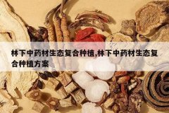 <b>������ҩ����̬������ֲ,������ҩ����̬������ֲ����</b>