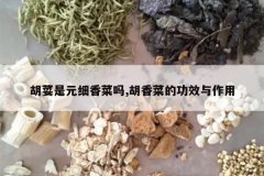 <b>��ݴ��Ԫϸ�����,����˵Ĺ�Ч������</b>