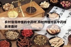 <b>ũ��ֵ����ֲ����ҩ��,ũ����ֲʲô��ҩ��ǰ�����</b>